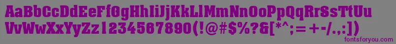 AAssuannrBold Font – Purple Fonts on Gray Background