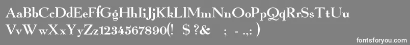 GraphicRegular Font – White Fonts on Gray Background