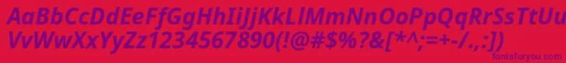 Notosans Bolditalic Font – Purple Fonts on Red Background
