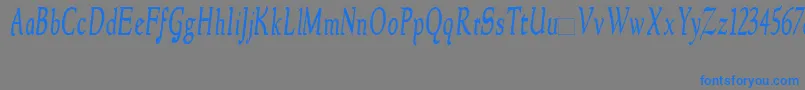 NewstylecondensedItalic Font – Blue Fonts on Gray Background