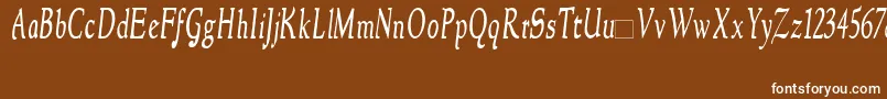 NewstylecondensedItalic Font – White Fonts on Brown Background