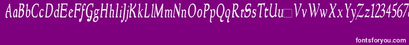 NewstylecondensedItalic Font – White Fonts on Purple Background