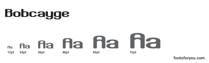 Bobcayge Font Sizes
