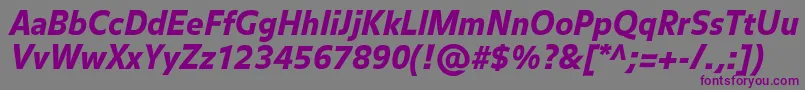 フォントBalanceblackItalic – 紫色のフォント、灰色の背景