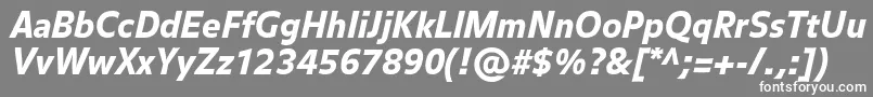 フォントBalanceblackItalic – 灰色の背景に白い文字