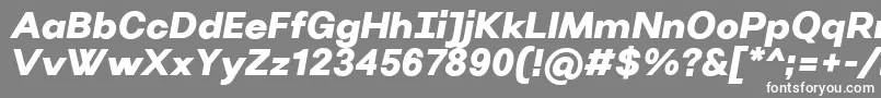 フォントVillerayUltrabolditalic – 灰色の背景に白い文字