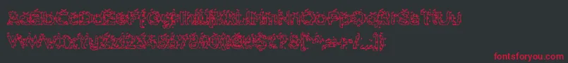 Hammh ffy Font – Red Fonts on Black Background