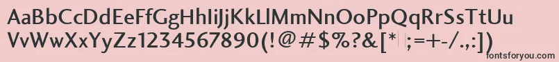 CharlotteSansMediumPlain Font – Black Fonts on Pink Background