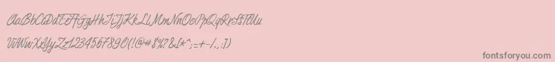 Duturner Font – Gray Fonts on Pink Background