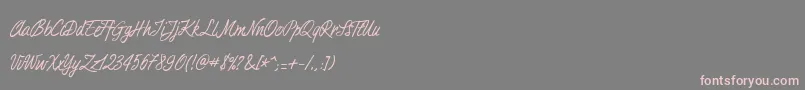 Duturner Font – Pink Fonts on Gray Background