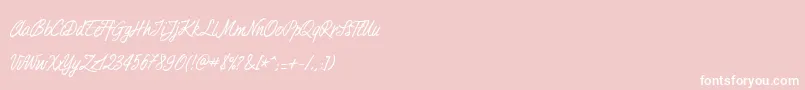 Duturner Font – White Fonts on Pink Background