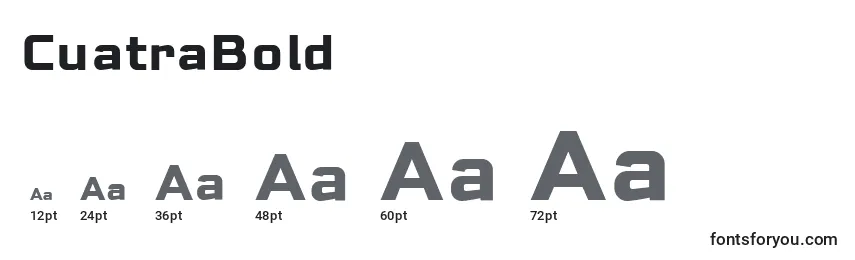 Размеры шрифта CuatraBold
