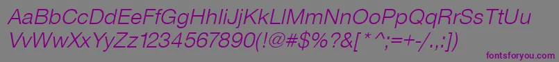 Шрифт SansLightItalic – фиолетовые шрифты на сером фоне