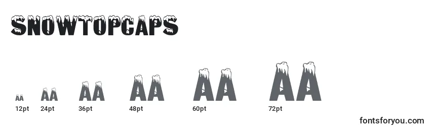 Размеры шрифта Snowtopcaps