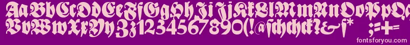 Bayreuth Font – Pink Fonts on Purple Background