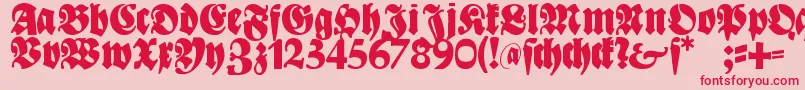 Bayreuth Font – Red Fonts on Pink Background