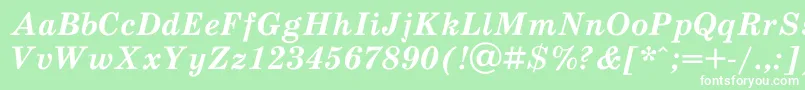 SchoolbookacBolditalic Font – White Fonts on Green Background