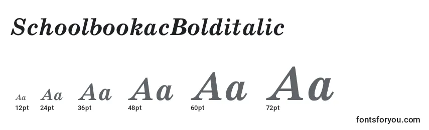 SchoolbookacBolditalic Font Sizes