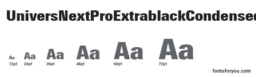 UniversNextProExtrablackCondensed Font Sizes