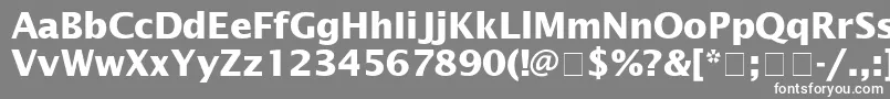 LucidaSansBold-Schriftart – Weiße Schriften auf grauem Hintergrund