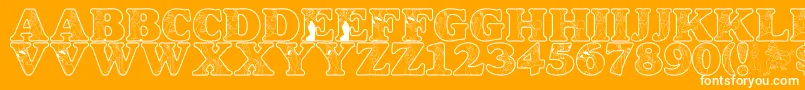 LmsAWholeNewWorld Font – White Fonts on Orange Background