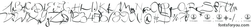 Czcionka Salme – czcionki kaligraficzne