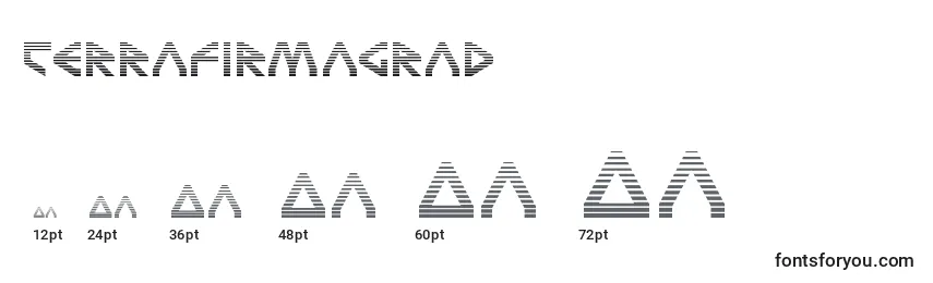 sizes of terrafirmagrad font, terrafirmagrad sizes