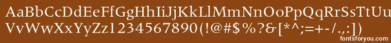 MeridienltstdRoman-fontti – valkoiset fontit ruskealla taustalla