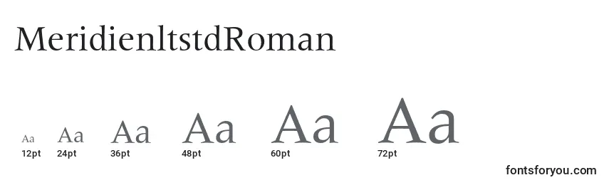 Размеры шрифта MeridienltstdRoman