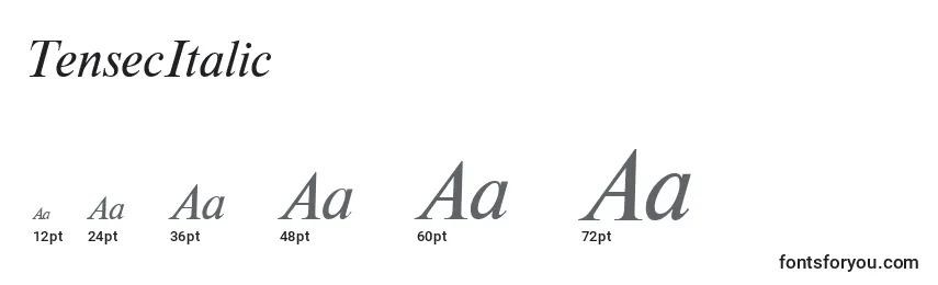 Größen der Schriftart TensecItalic