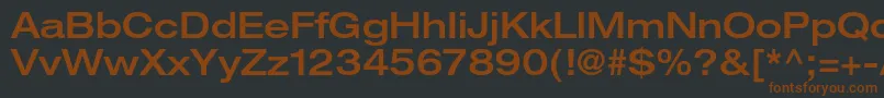 Шрифт HelveticaneueltstdMdex – коричневые шрифты на чёрном фоне