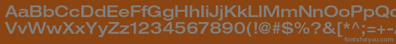フォントHelveticaneueltstdMdex – 茶色の背景に灰色の文字