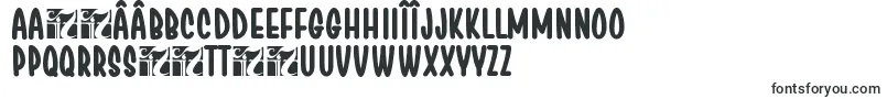 ChesanBold-Schriftart – rumänische Schriften