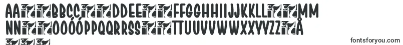 ChesanBold-Schriftart – polnische Schriften