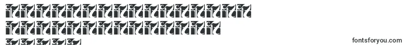 ChesanBold-Schriftart – kurdische Schriften