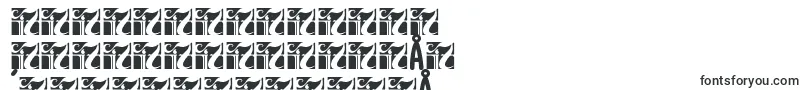 ChesanBold Font – Simplified Chinese Fonts