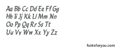 CarynBold Font