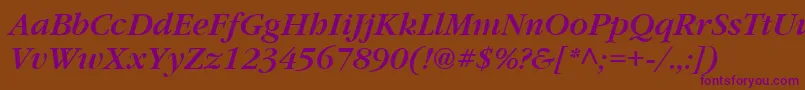 Garrymondrian5Sblditalicsh Font – Purple Fonts on Brown Background