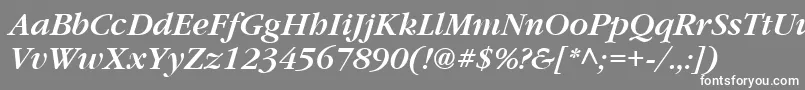 フォントGarrymondrian5Sblditalicsh – 灰色の背景に白い文字