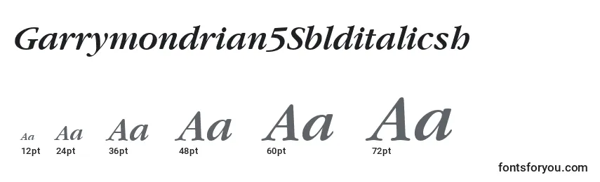 Размеры шрифта Garrymondrian5Sblditalicsh