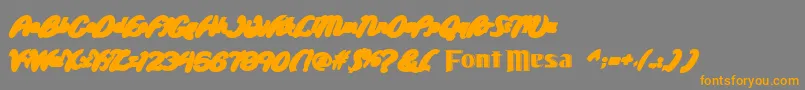 Wild Ride Back Fill Font – Orange Fonts on Gray Background