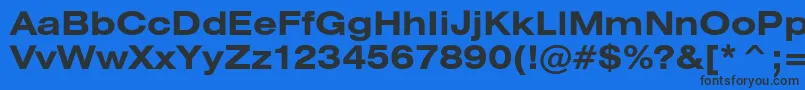 HeliosextBold Font – Black Fonts on Blue Background