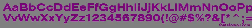 フォントHeliosextBold – 紫色のフォント、灰色の背景