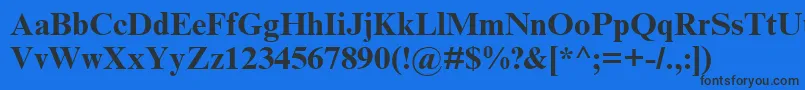 TimesNewRomanCyrBold Font – Black Fonts on Blue Background