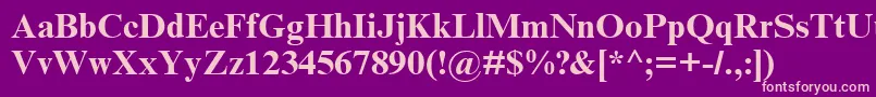 TimesNewRomanCyrBold Font – Pink Fonts on Purple Background