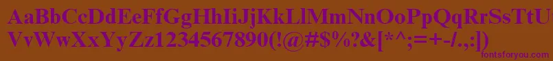 TimesNewRomanCyrBold Font – Purple Fonts on Brown Background