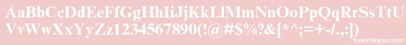 フォントTimesNewRomanCyrBold – ピンクの背景に白い文字