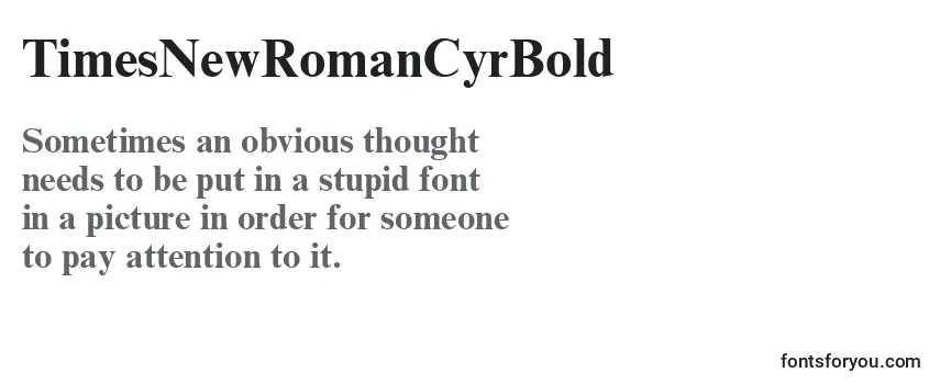 Review of the TimesNewRomanCyrBold Font