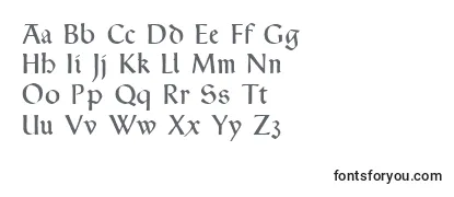 Обзор шрифта TypographerRotunda