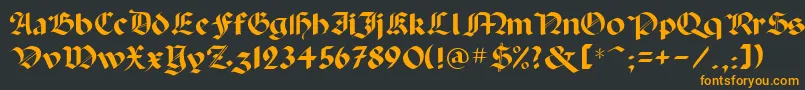 フォントPaladinpcrusMedium – 黒い背景にオレンジの文字